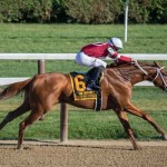 Horse Racing Systems Explained: How to Bet on Horse Races