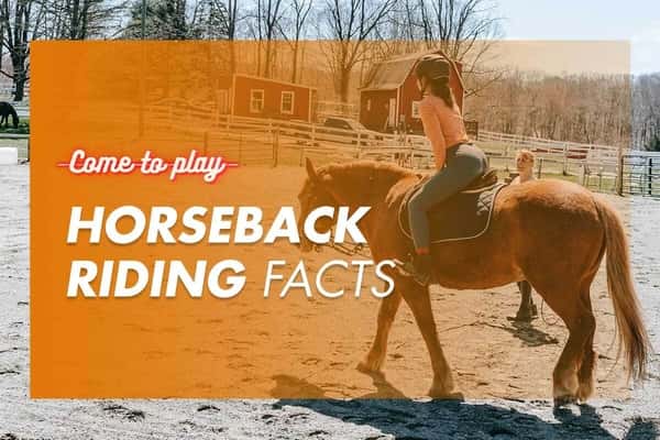 Fascinating Horseback Riding Facts to Get You in the Saddle