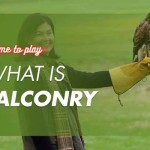 Falconry: The Ancient Sport of Kings