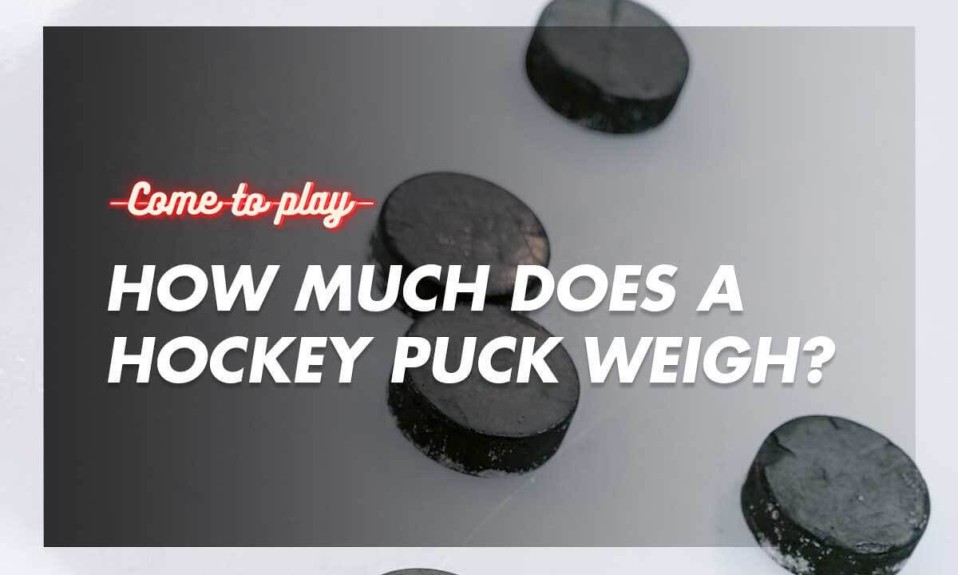 how-much-does-a-hockey-puck-weigh