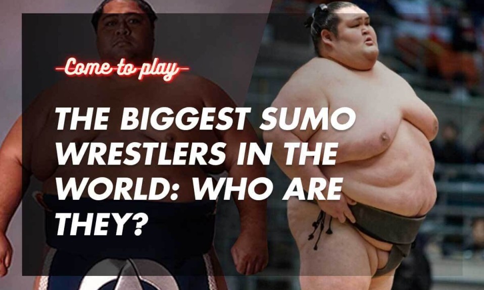 biggest-sumo-wrestler