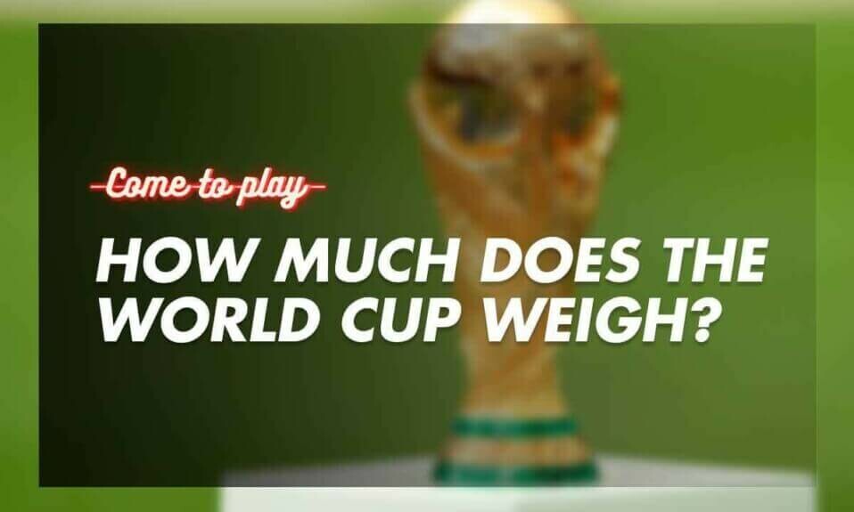how-much-does-the-world-cup-weigh